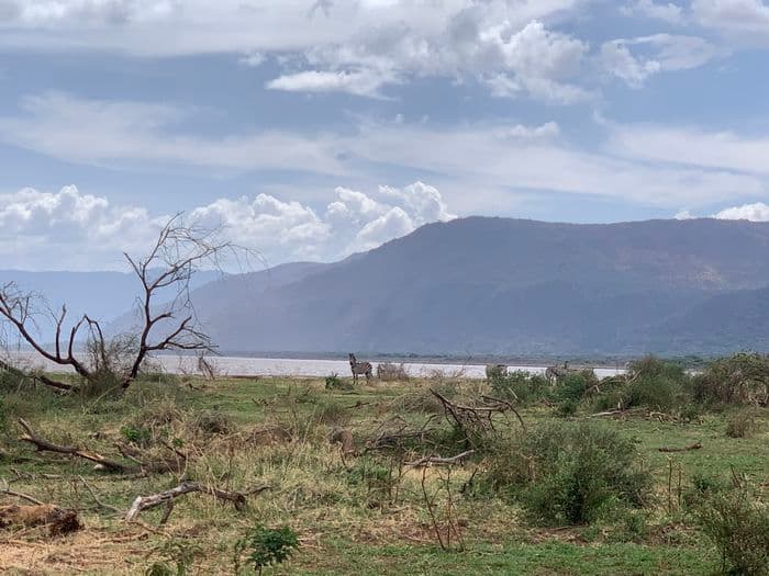 Lake Manyara Tanzanie
