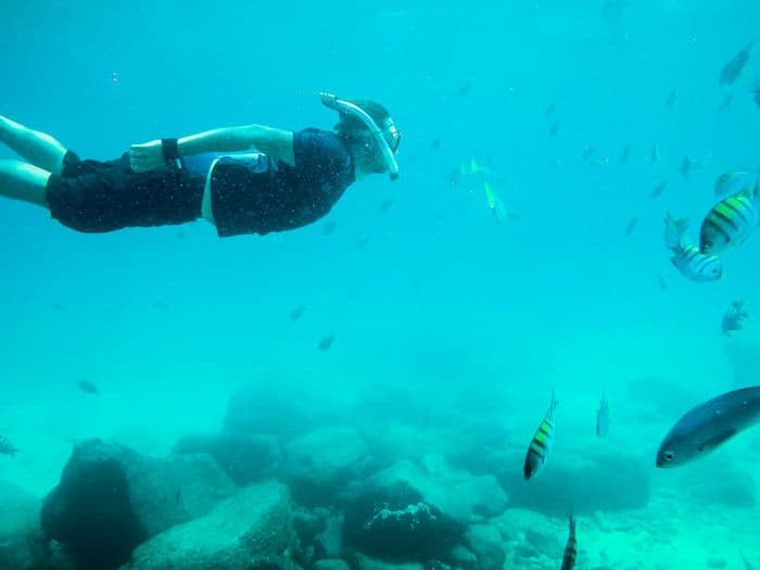 dive ecuador galapagos gopro schorcheln snorkeling under water underwater unterwasser vivideo 137 - viventura South America Tours GoPro Footage