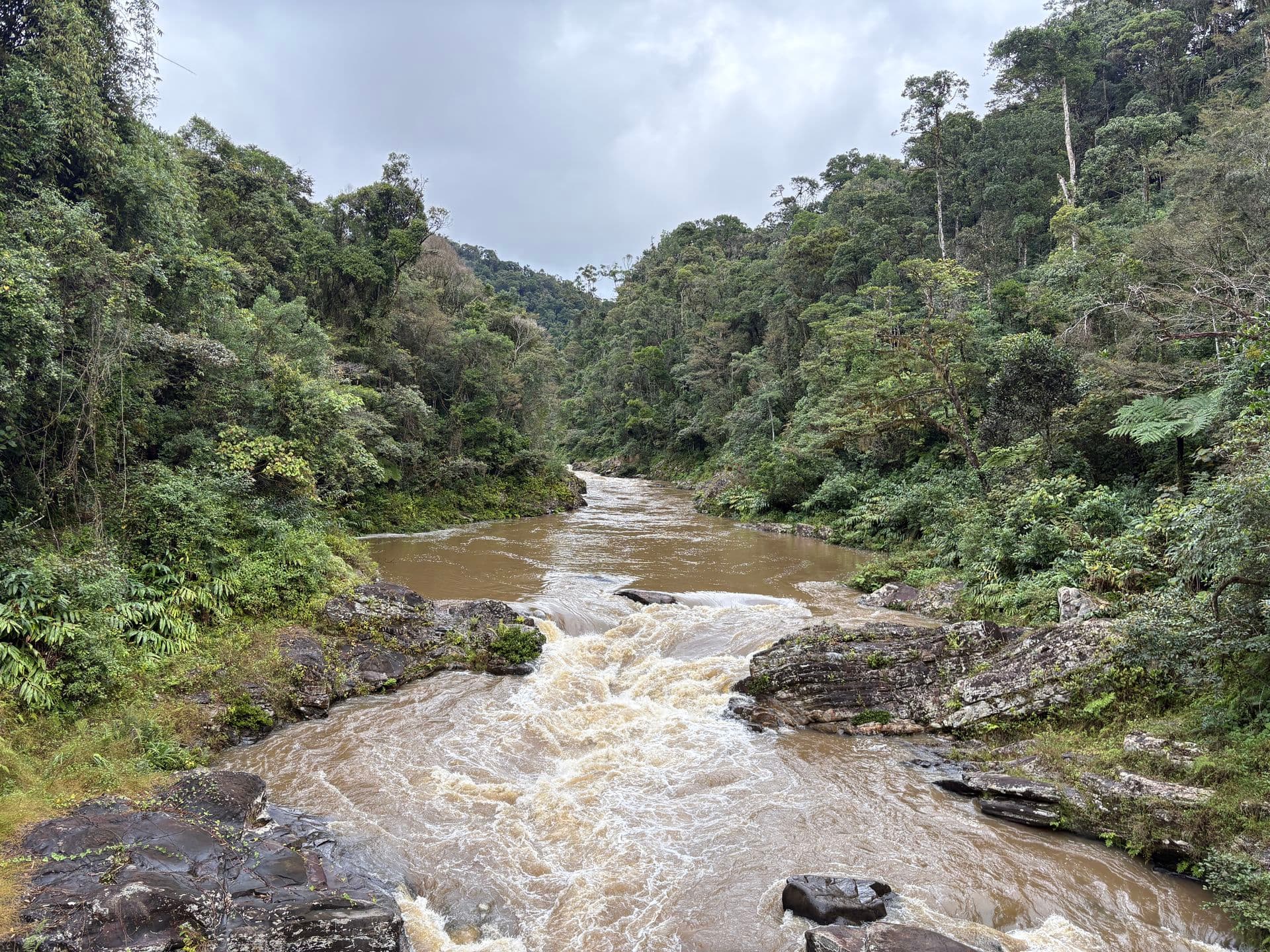 xmad 85081 Madagascar Ranomafana