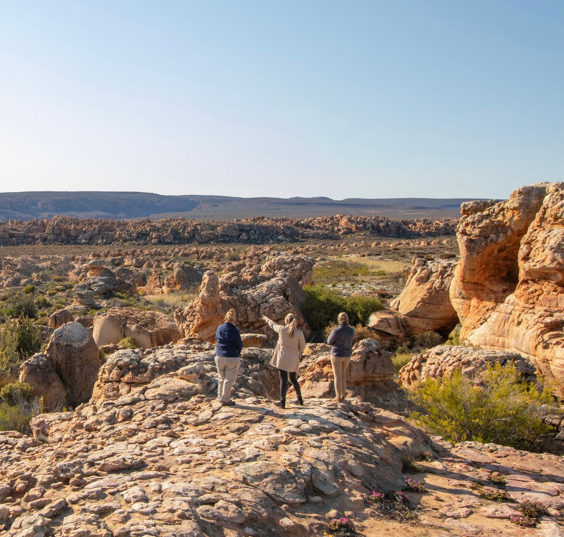 Cederberg