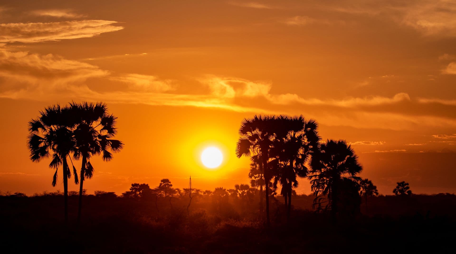 Etosha National Park Namibia