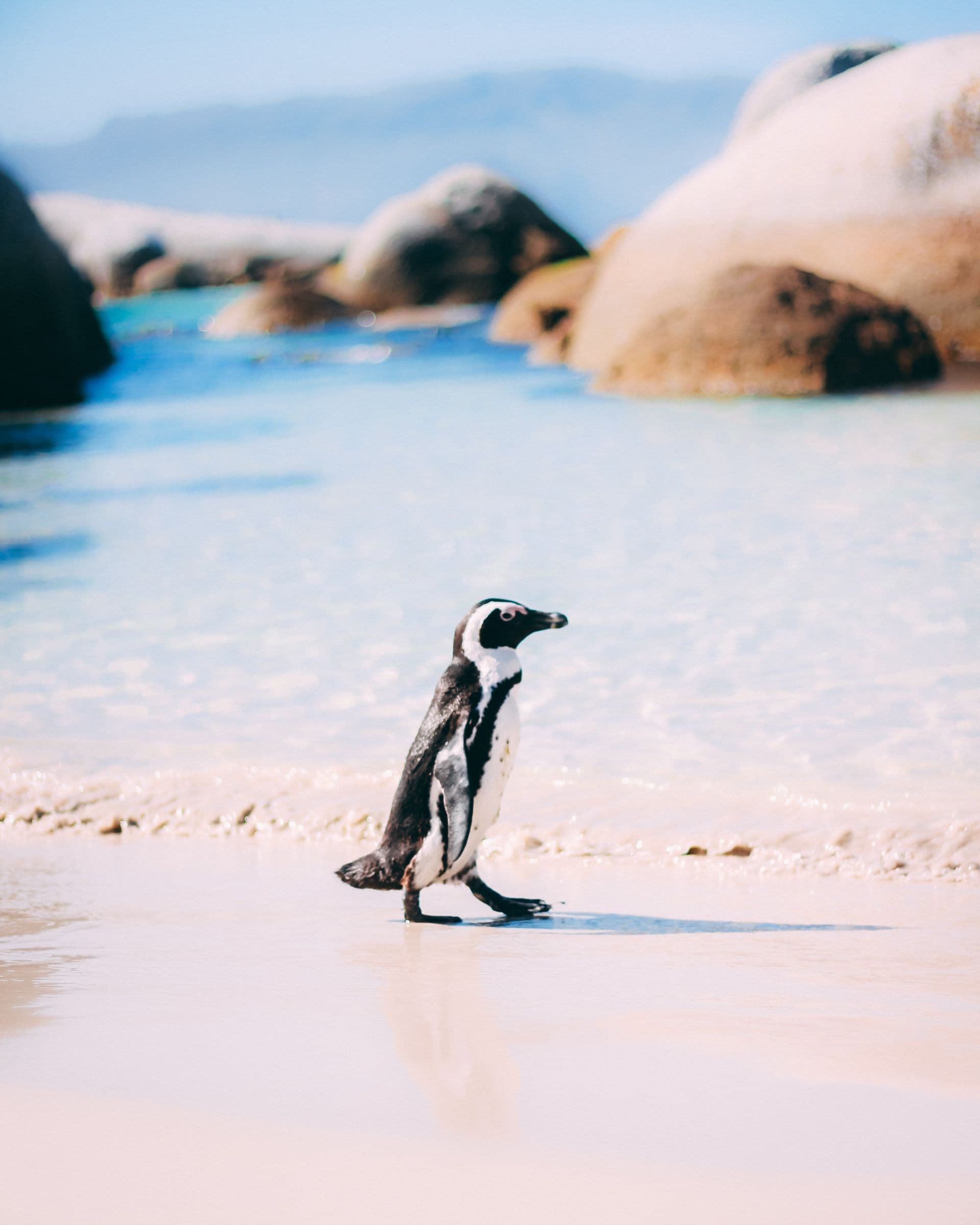 Cape Town