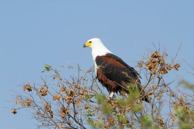 Africaventura