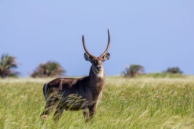 Africaventura
