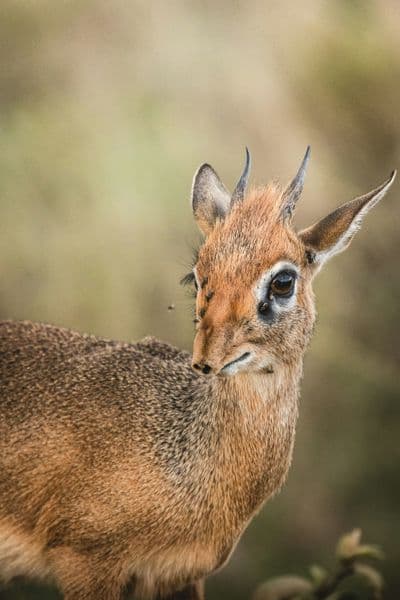 Africaventura