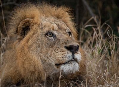 Africaventura