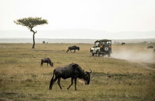kenya tanzania xktz  4 safari
