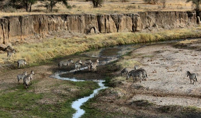 Tarangire Tanzania