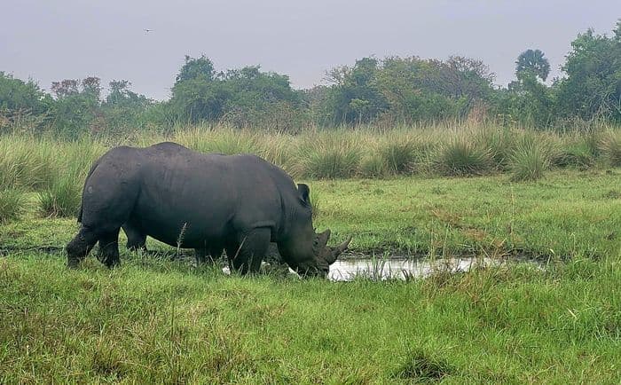 xug 86506 uganda