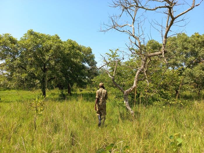 ziwa rhino