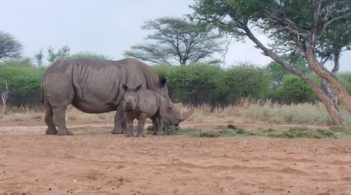 Waterberg