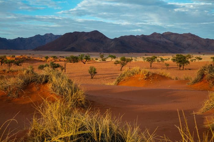 namibia desert