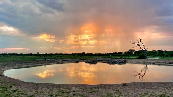 Savuti Chobe Sunset