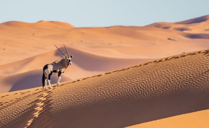 Namib Naukluft Sesriem Namibia