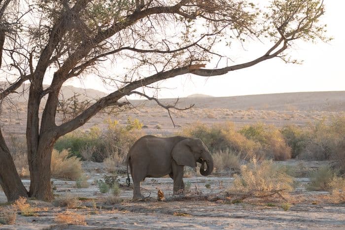 Damaraland Namibia