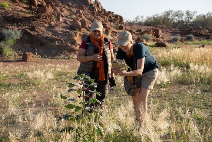 Bush Walk Namibia Brandberg