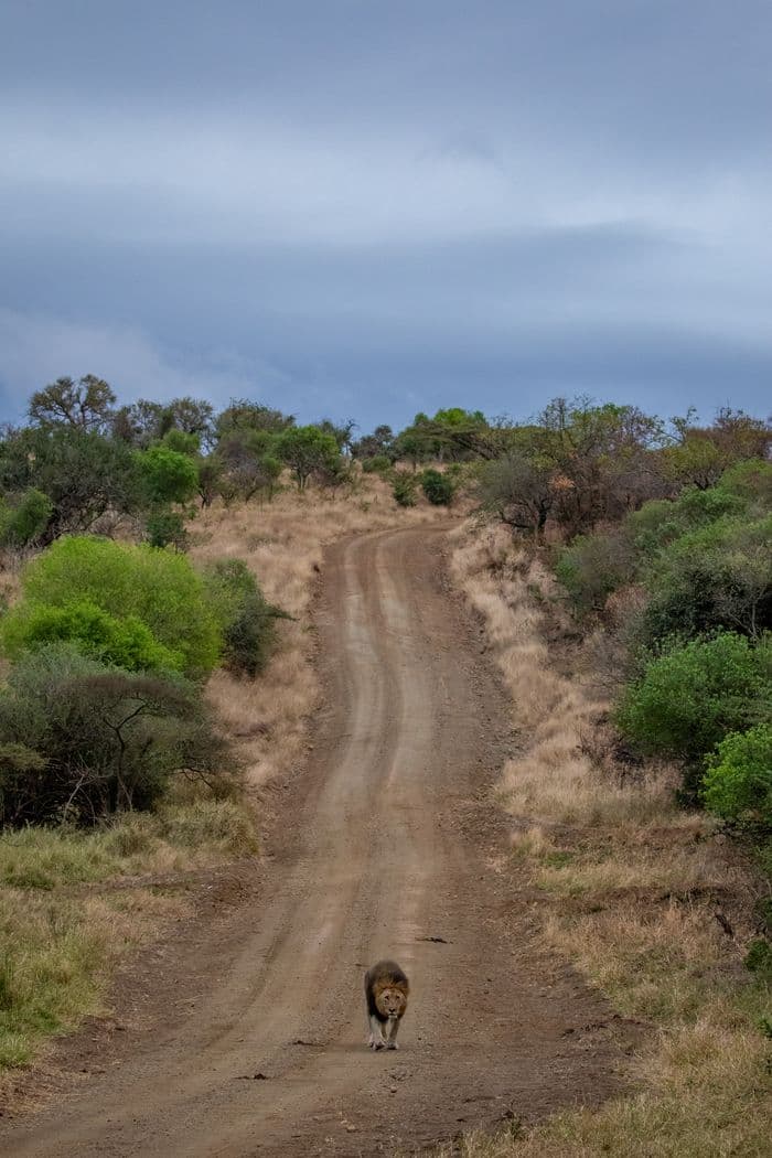 Manyoni Game Reserve, Leopard Mountain