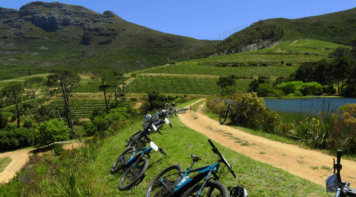 Klein Constantia Tour 2