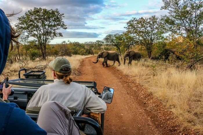 nDzuti Safari Camp