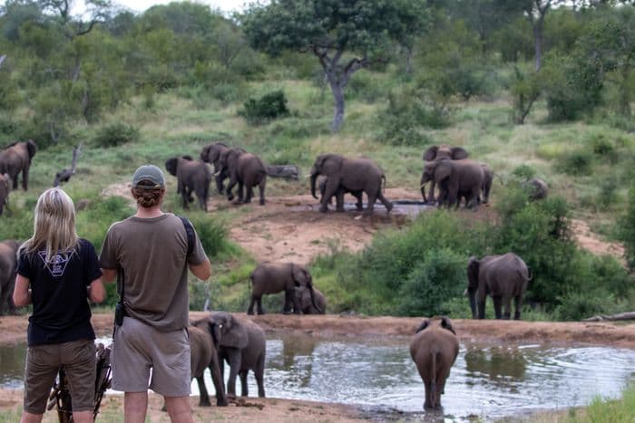 nDzuti Safari Camp