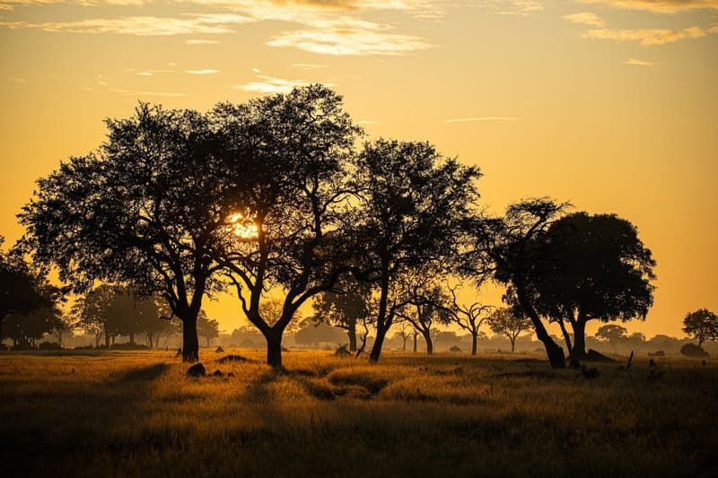 Hwange National Park