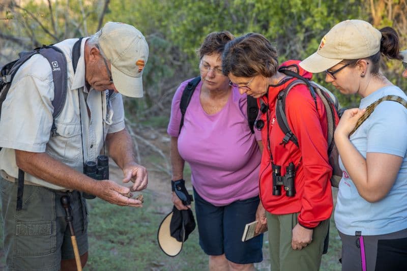 Brandberg White Lady Lodge
